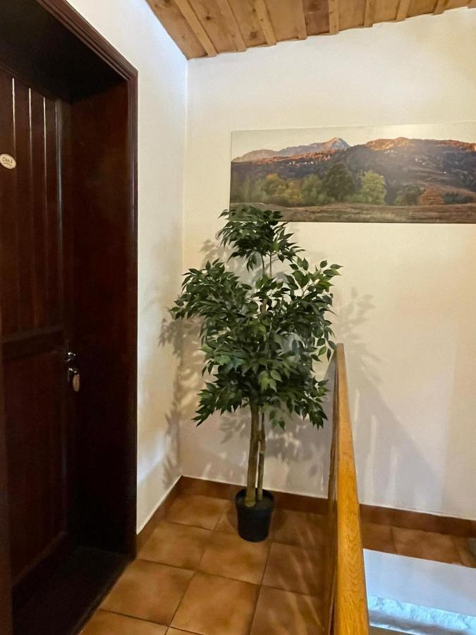 Vila Sofia Predeal Exterior photo